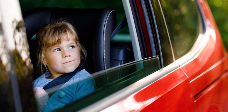 Staver Law Firm blog image